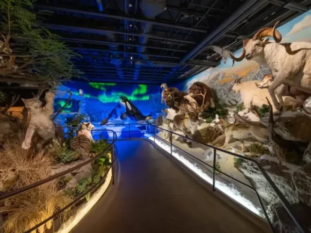 Photo Gallery of Masquerade Gala 2026